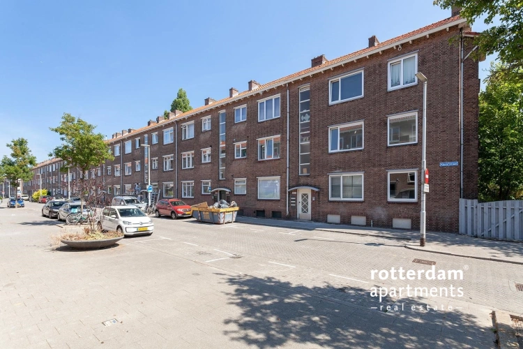 Lepelaarsingel, Rotterdam