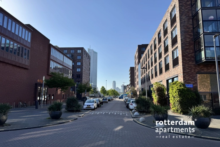 appartementen te huur op W.G. Witteveenplein