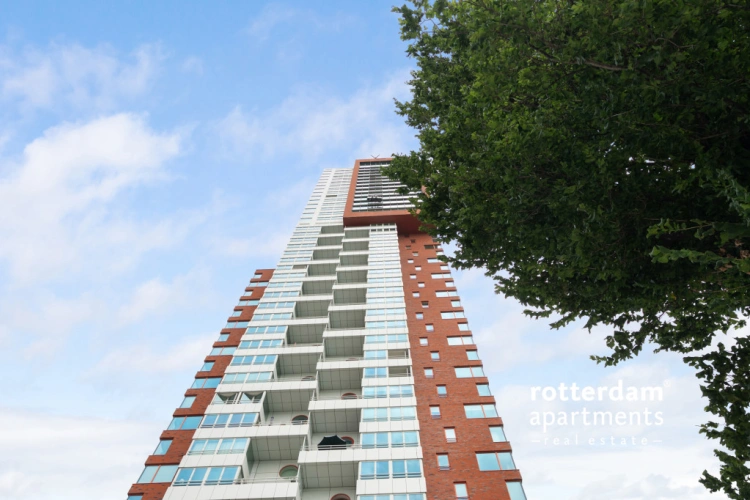 Landverhuizersplein, Rotterdam