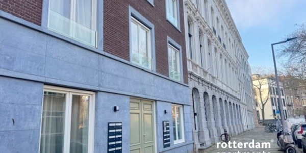 vrije-sector-woningen te huur op Schiedamsesingel