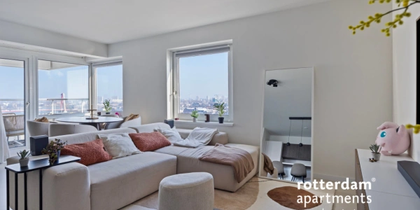 free-sector-houses for rent on Boompjes