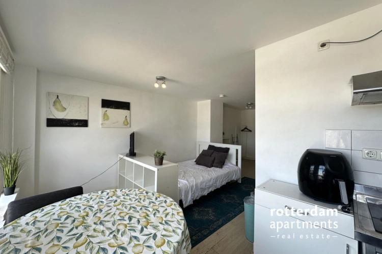 apartments for rent on Oudedijk