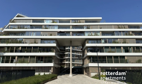 Nancy Zeelenbergsingel